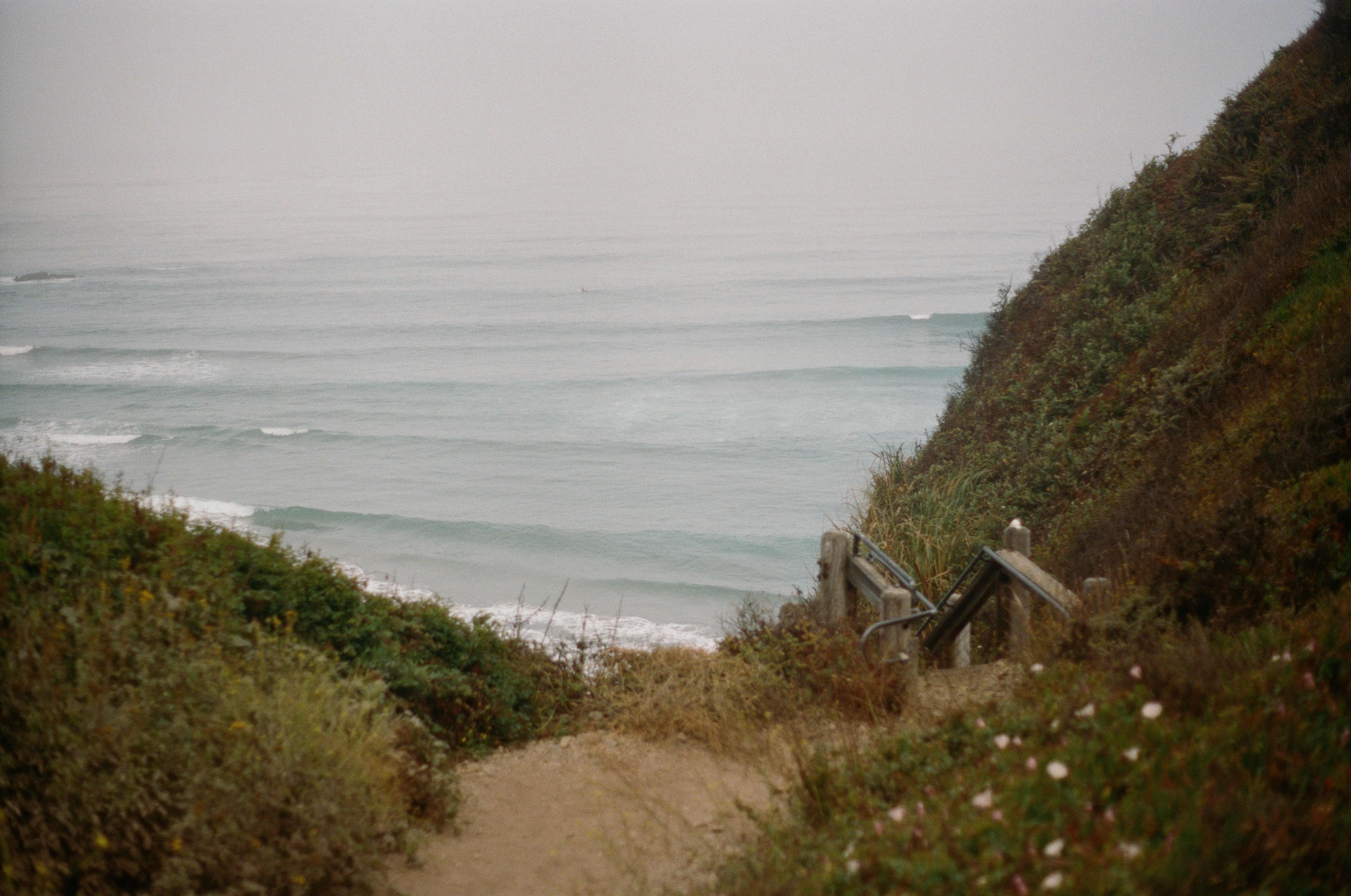A quiet path leading to the ocean