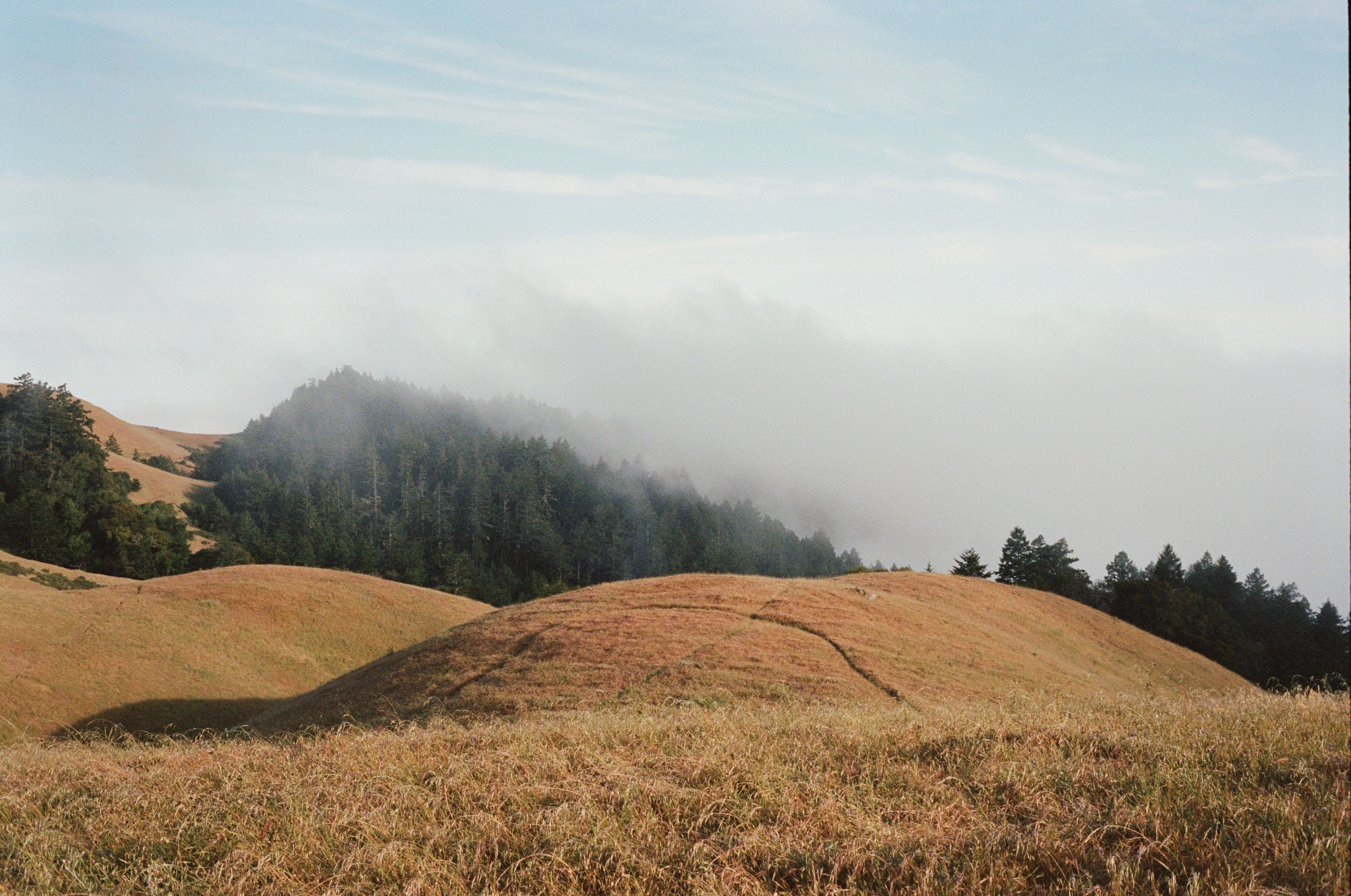 A path through misty hills
