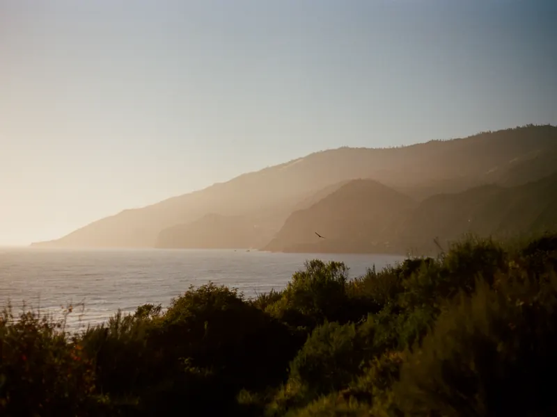 A coastal sunset with a bird in flight