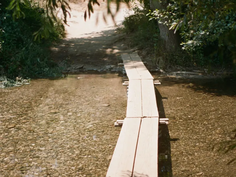 A narrow boardwalk running through dry grass