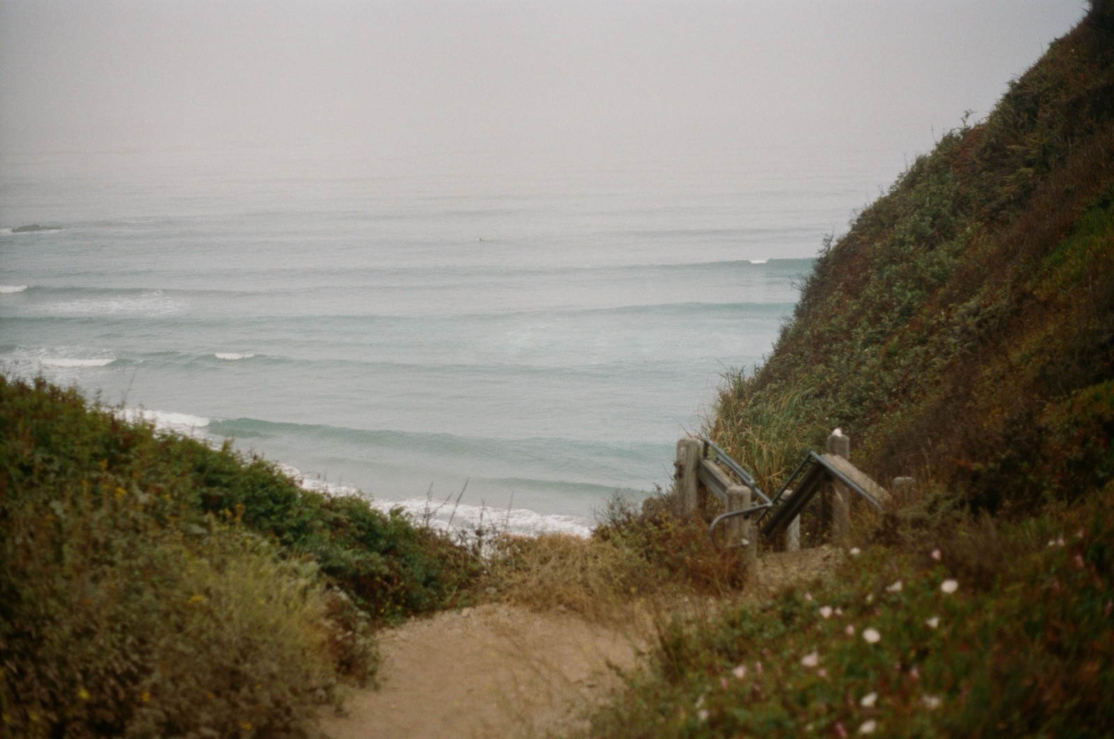 A quiet path leading to the ocean