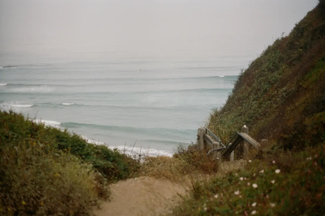 A quiet path leading to the ocean