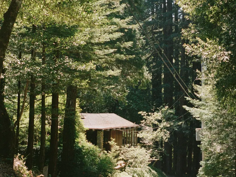 A small cabin among tall redwoods