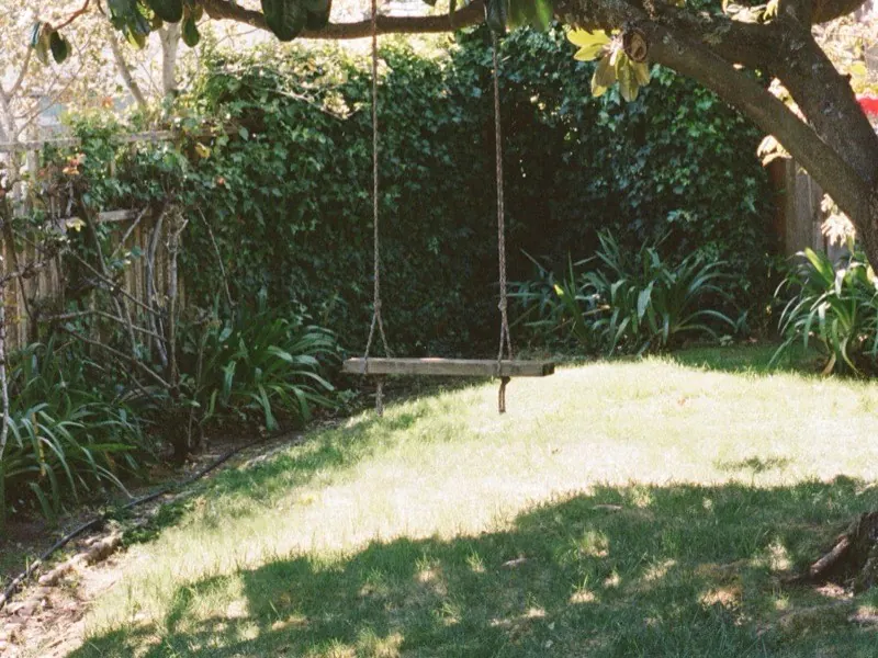 An empty rope swing hanging under a garden tree