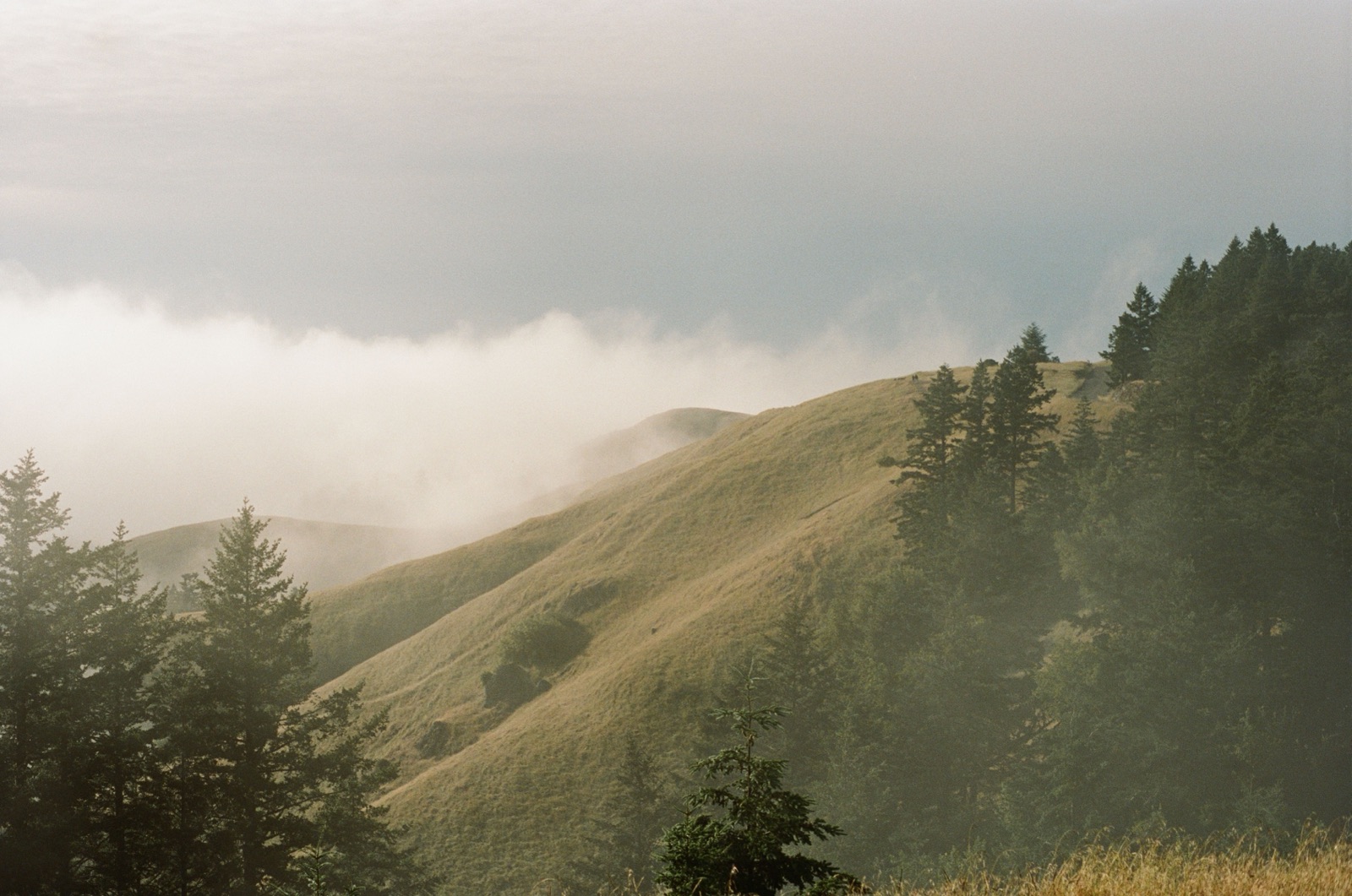 Misty rolling hills