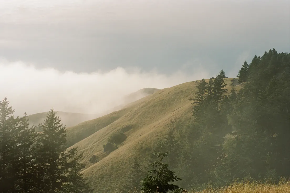 Misty rolling hills