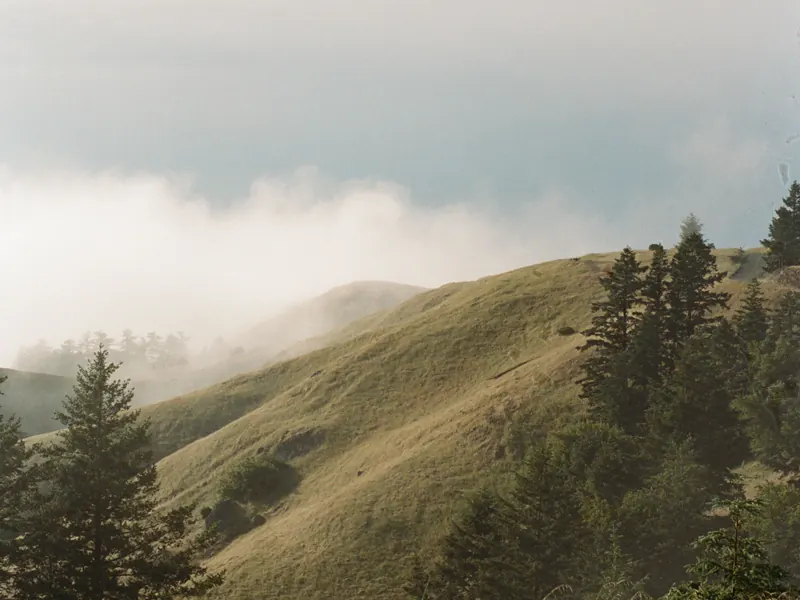 Mist settling over green hills