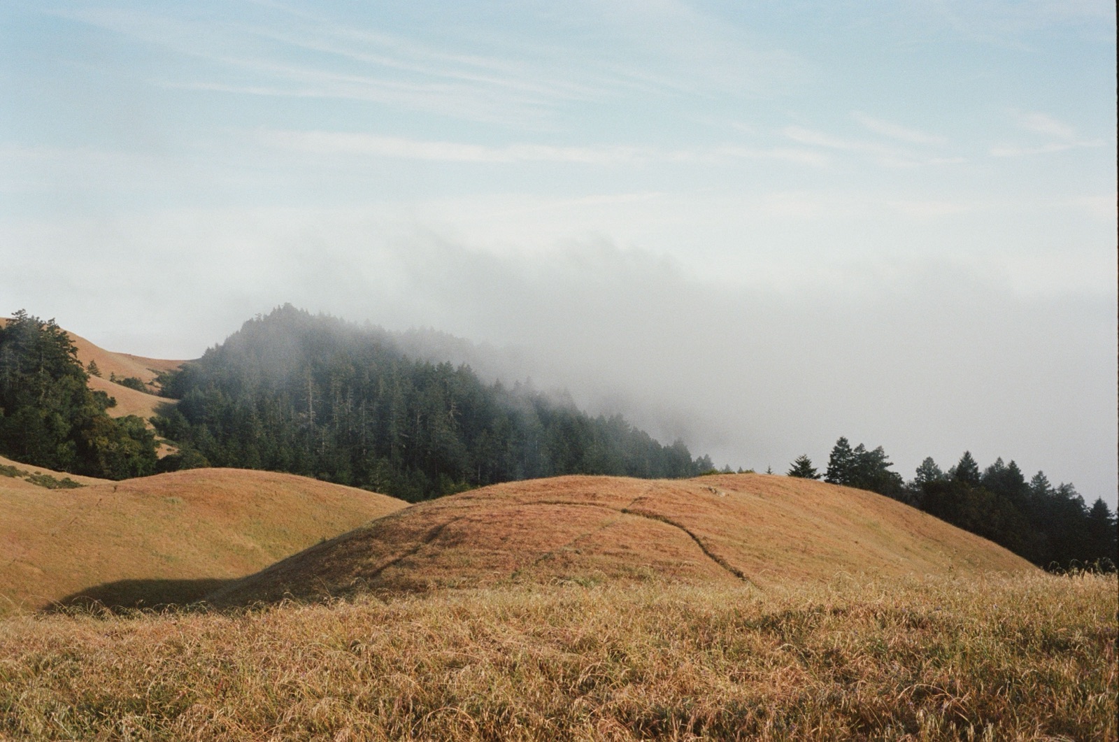 A path through misty hills
