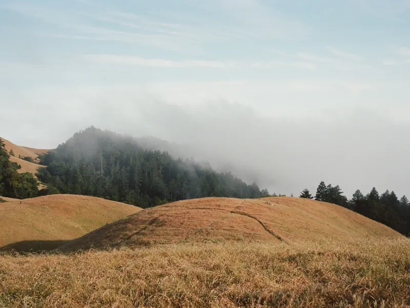 A path through misty hills