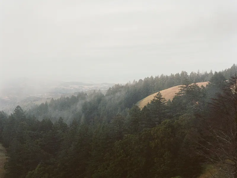 Fog rolling across layered ridges