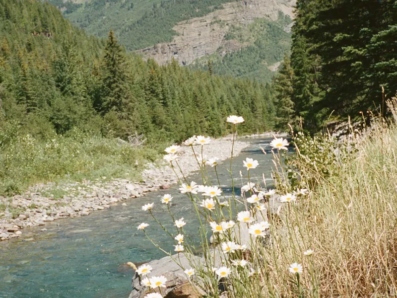 A river running through a wooded valley